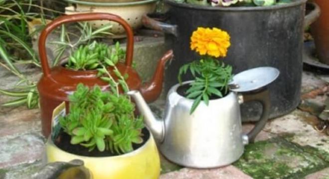 Utensílios domésticos podem se tornar lindos enfeites para jardim