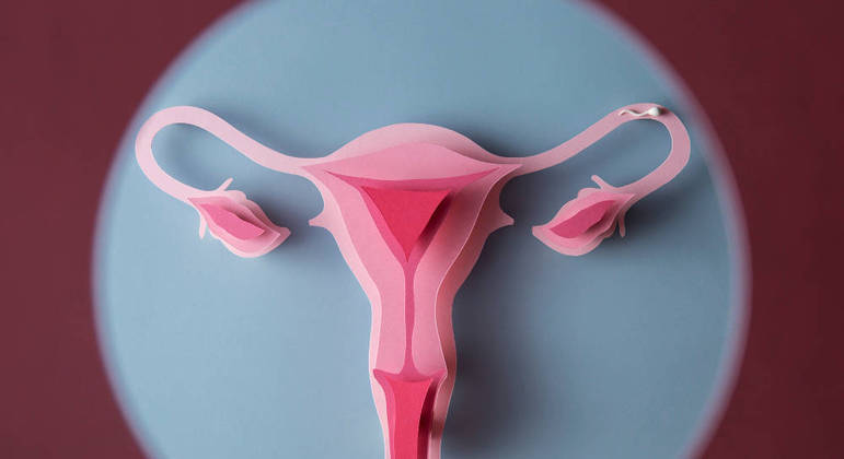 Mulheres param de produzir hormônios após a menopausa, a última menstruação