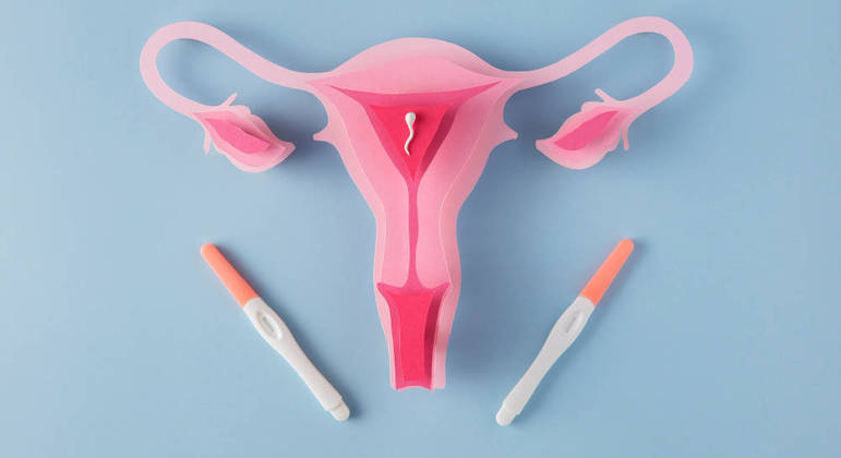 Imagem do aparelho reprodutor feminino, em ilustração