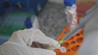 São Paulo vai testar vacina contra crack e cocaína feita pela UFMG (São Paulo vai testar vacina contra crack e cocaína feita pela UFMG)