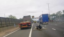 'Muumento' tenso: vaca cai de caminhão no meio de rodovia super movimentada