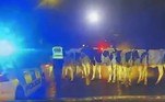 O momento engraçado e um tanto surreal foi devidamente filmado e publicado no Twitter da unidade rodoviária da Polícia de West YorkshireLEIA MAIS: Causa até vômito! Surto de lagarta peluda e venenosa assusta cidades