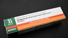 ButanVac é eficaz também contra variantes, aponta ensaio pré-clínico