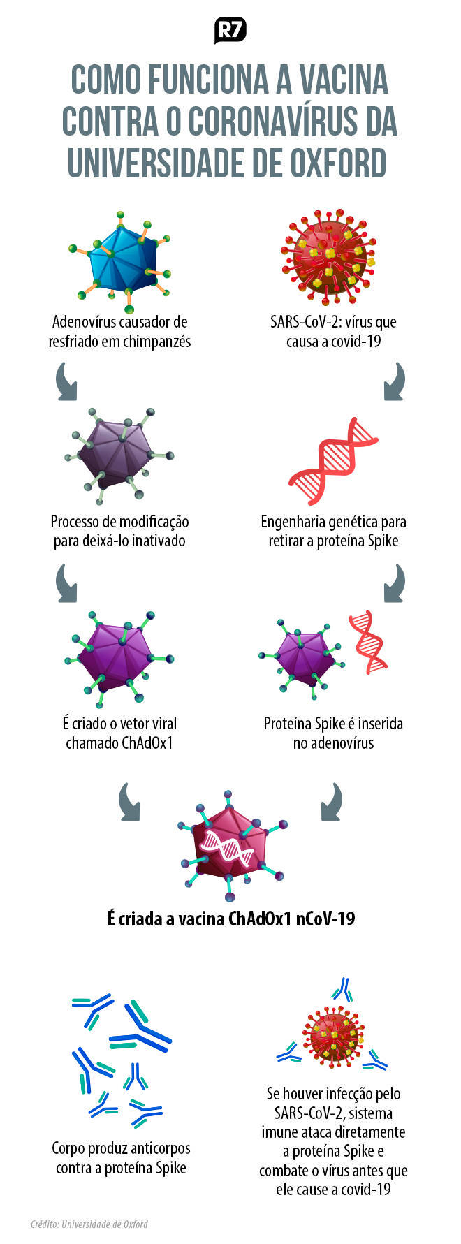 Vacina de Oxford traz tecnologia nunca usada em larga ...