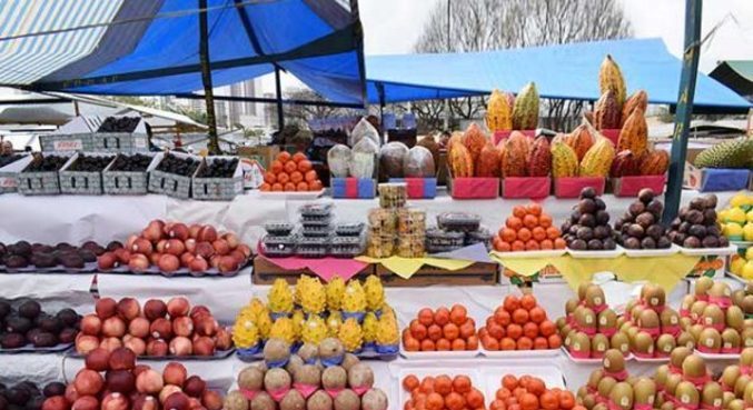 Os alimentos da época preservam mais o aroma, sabor e nutrientes