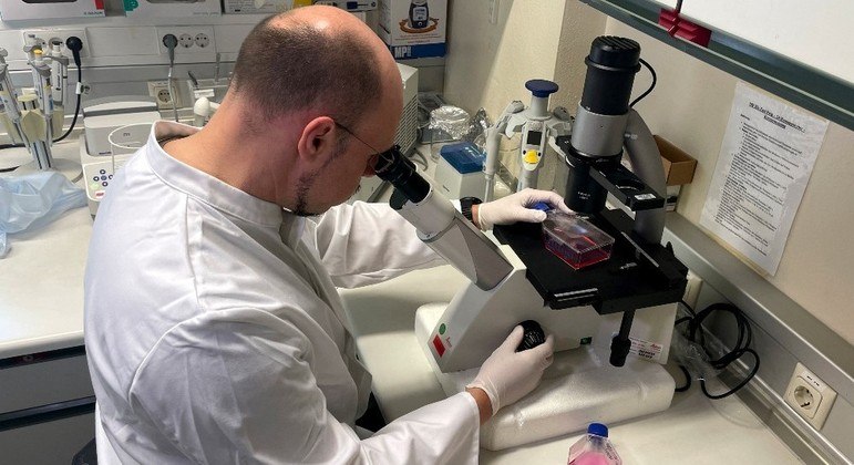El número de casos globales de viruela del simio se duplica en cinco días, superando los 600 – Noticias