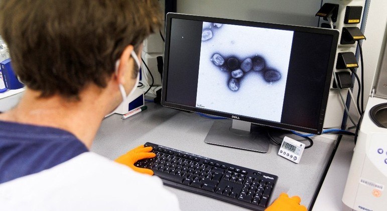 Cientistas estudam vírus da varíola do macaco para descobrir por que transmissão está rápida