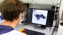 Cientistas descobrem 47 mutações no vírus da varíola do macaco