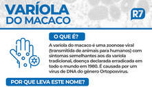 Primeiro caso de varíola do macaco no Brasil é confirmado em SP