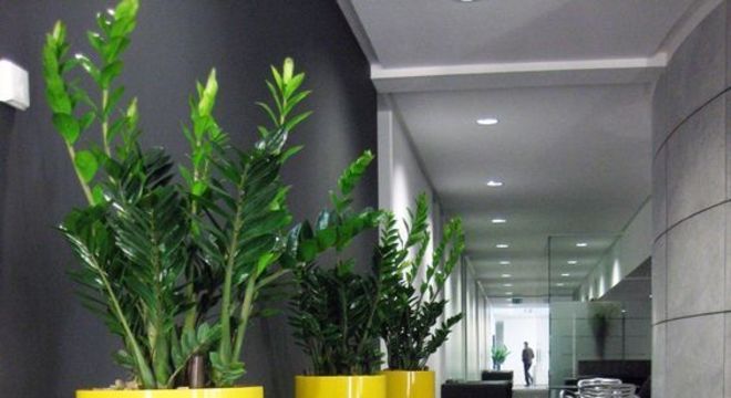 vaso de barro - vasos de plantas amarelos 