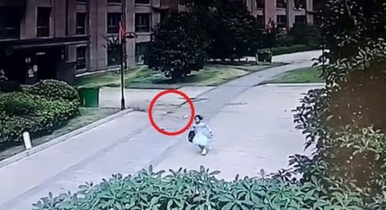 Criança correu em pânico após queda do vaso de plantas