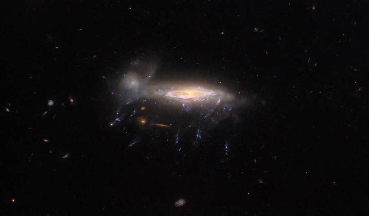 A galáxia água-viva, registrada pelo telescópio Espacial Hubble, é chamada assim por causa dos brilhantes tentáculos de gás que aparecem abaixo do volume central da JO204. Localizada a 600 milhões de anos-luz de distância da Terra, na constelação de Sextans, a galáxia foi observada pelo telescópio como parte da pesquisa realizada com a intenção de entender melhor a formação estelar em condições extremasVEJA TAMBÉM: James Webb captura novas imagens de 'galáxia-fantasma'