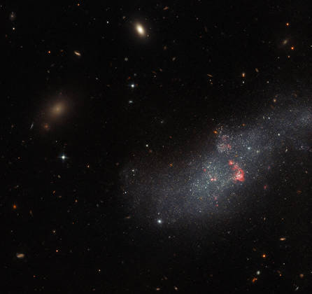 A imagem acima, do icônico Hubble, mostra a pequena galáxia UGCA 307 — ela consiste em uma faixa difusa de estrelas com bolhas vermelhas de gás, que marcam as regiões de formação estelar recente. A galáxia da constelação de Corvus fica a aproximadamente 26 milhões de anos-luz da Terra