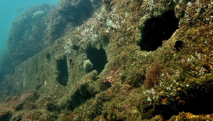 Transatlântico Velasquez
O navio britânico Velasquez, construído em 1905,
transportava passageiros e importantes cargas entre a Europa e as Américas. Porém,
em 16 de outubro de 1908, a combinação entre neblina, chuva e fortes ondas fez com que o capitão da embarcação atingisse as rochas da Ponta da Sela,
também em Ilhabela.

O Velasquez nunca conseguiu completar sua viagem até
Liverpool, mas até hoje pode ser visitado por turistas brasileiros e
estrangeiros. O transatlântico está a apenas 8 m de profundidade e pouco mais
de 5 m de distância da ilha