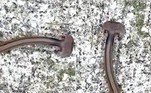 Um verme invasor gigante surpreendeu um morador de Midlothian, na Virgínia (EUA), que imediatamente acionou as autoridades. Ele acreditava estar diante de uma cobra com quase 30 cm para lá de bizarra