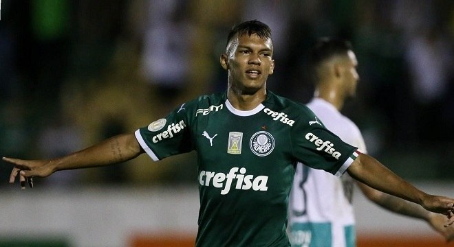 Resultado de imagem para palmeiras