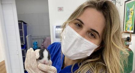 Veronika Schiersner, estudante de medicina veterinária e presidente do centro acadêmico do curso na Universidade Municipal de São Caetano do Sul (USCS) 