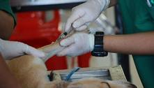 Estado de SP terá oito novas clínicas veterinárias públicas 