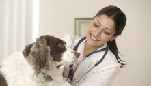 Conheça serviços médicos, jurídicos e veterinários gratuitos em SP