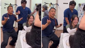 Veterinários do Havaí criam técnica divertida para acalmar cães nervosos (Veterinários do Havaí criam técnica divertida para acalmar cães nervosos)