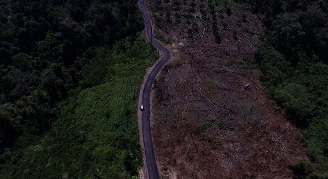 A Indonésia tem uma das taxas de desmatamento mais altas do mundo