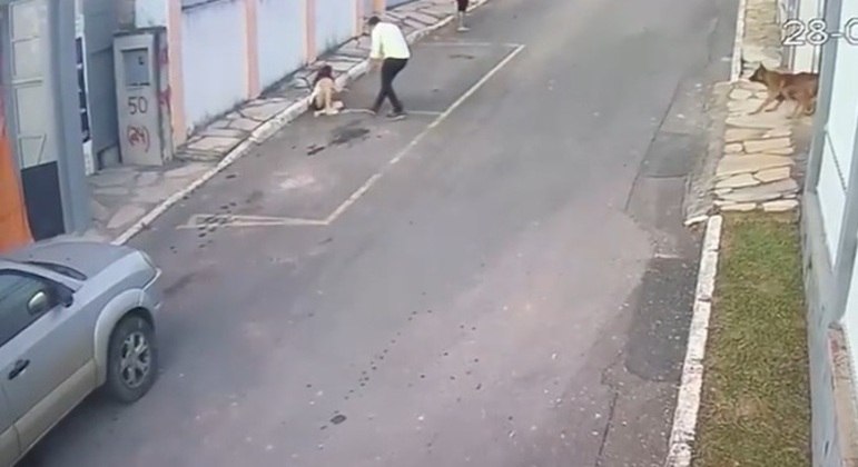 Tutor dos animais conteve agressão ao se aproximar e prestou socorro à menina