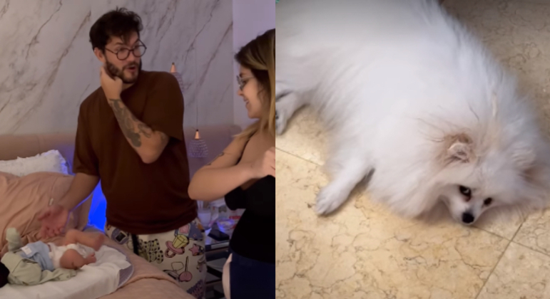 Uma semana depois, ele divertiu internautas ao contar que perdeu o umbigo de Lua. O influenciador o procurou pela casa toda, mas disse que os cachorros poderiam ter comido. 