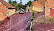 Ruas de cidade portuguesa viram um rio de vinho após reservatórios de vinícola se romperem