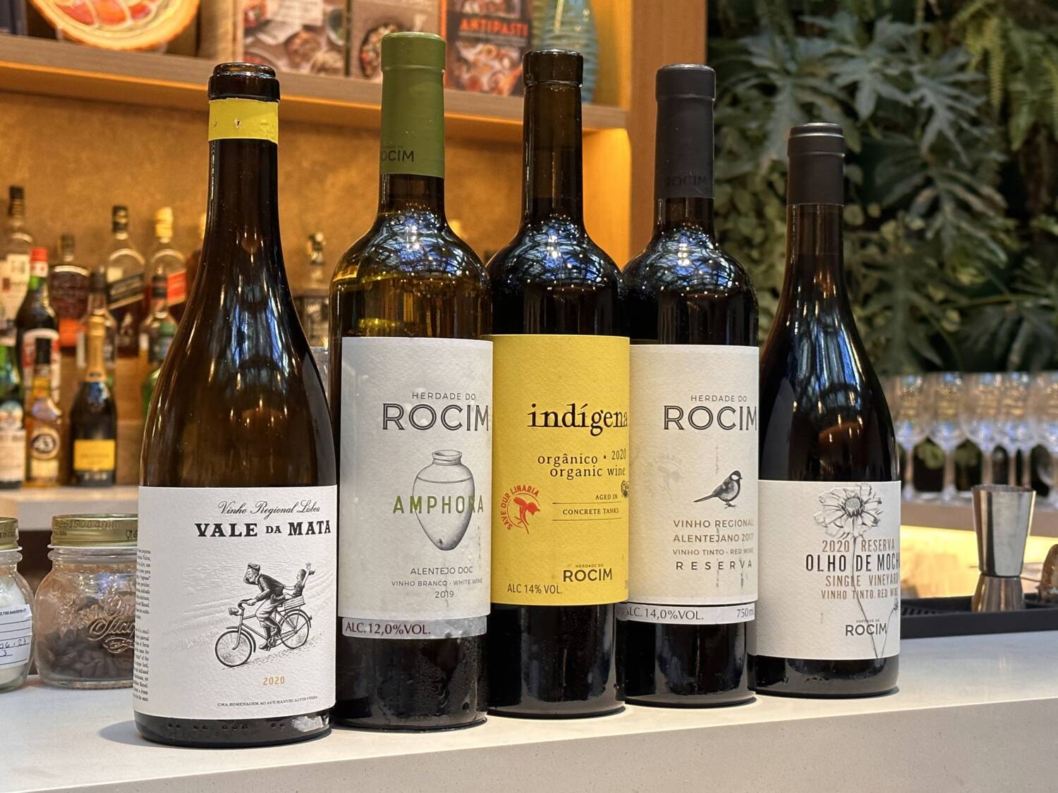 Vinhos de Pedro Ribeiro
