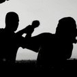 Pacote de projetos de combate à violência doméstica é aprovado na Câmara (Reprodução / Record TV Minas)