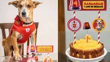Caramello, o cão bombeiro, comemora um ano de sua adoção com bolo e velinhas