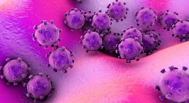  Há agora sete tipos de coronavírus conhecidos que infectam humanos 