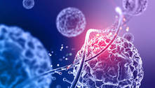 Novas sublinhagens da Ômicron podem evitar imunidade de infecções passadas, diz estudo
