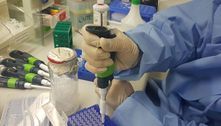 Vacina contra a zika tem resultados promissores nos primeiros testes 