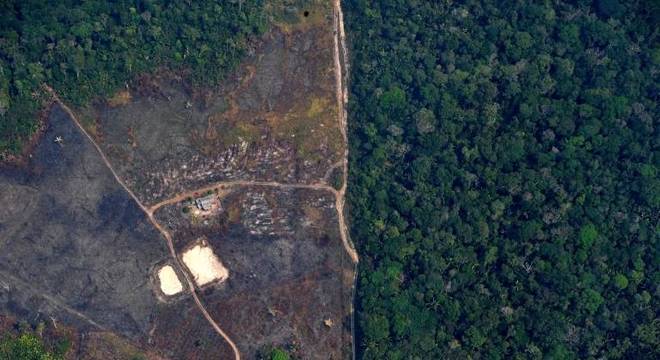 Dados preliminares do Inpe mostram que desmatamento continuou crescendo no primeiro semestre de 2020