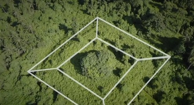 A pirâmide foi engolida pela floresta e arqueólogos estão tentando escavá-la