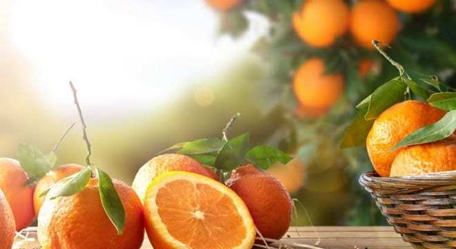 Vitamina C - benefícios, como consumir e onde encontrar