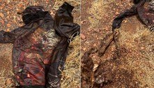 Suposta vítima de assassinato era na realidade restos de vaca agasalhados