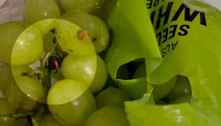 Cliente acha viúva-negra em cacho de uvas comprado em mercado