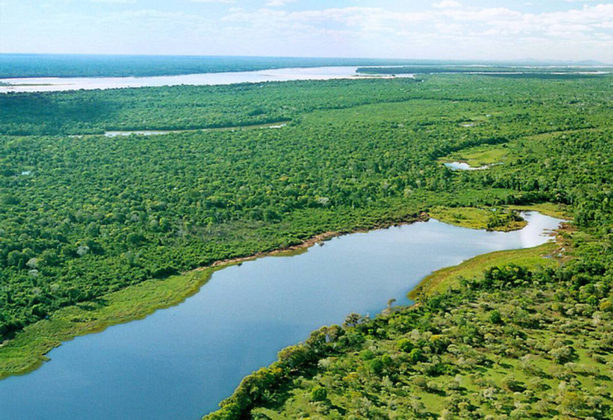 Você sabia que o Brasil abriga a maior ilha fluvial do mundo? Trata-se da Ilha do Bananal, localizada no estado do Tocantins.