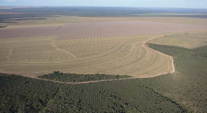 Você sabia que o rico Bioma Cerrado é o berço das águas brasileiras?
