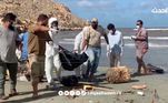 Voluntários carregam corpos retirados domar após enchentes mortais, em Derna. As equipes de emergência e voluntáriosseguem em busca, nesta sexta-feira (15), entre lama e escombros, de milhares depessoas desaparecidas em Derna, cidade na costa leste da Líbia que foidestruída por uma inundação que atingiu a cidade como um tsunami e deixou pelomenos 3.800 mortos