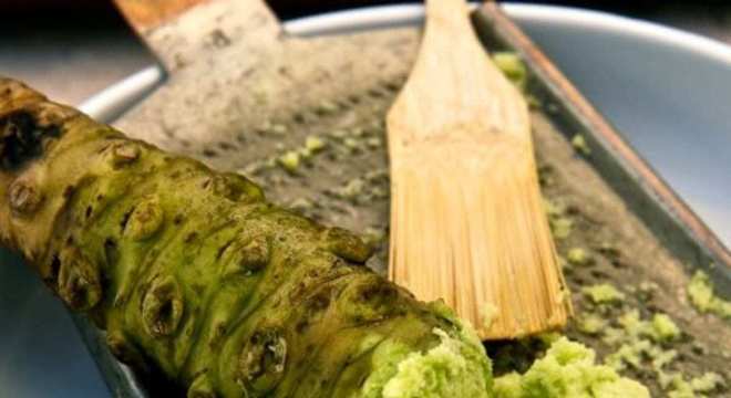 Wasabi - o que é? Origem, cultivo e benefícios para a saúde