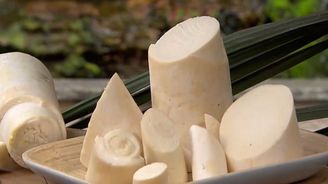 Entenda por que você deveria incluir mais palmito na sua alimentação  (Record TV)