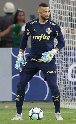 Camisa goleiro best sale palmeiras 2018