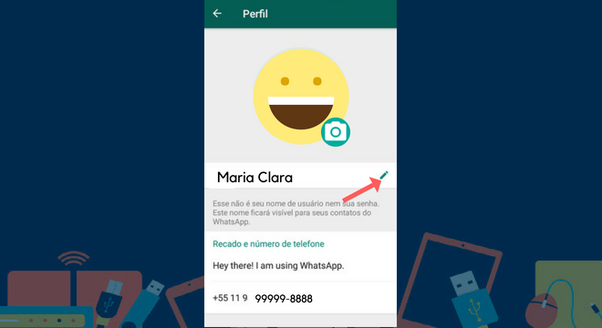 WhatsApp : Crie um perfil completamente personalizado - Fotos - R7  Tecnologia e Ciência