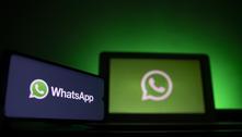 WhatsApp lança busca de empresas dentro do aplicativo