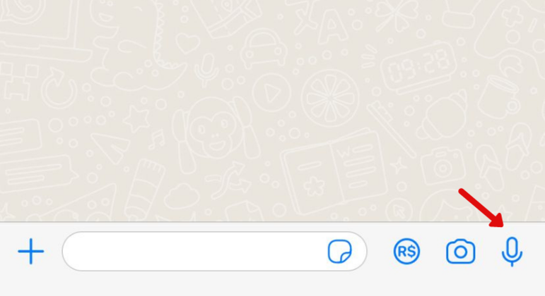 Veja como iniciar um chat por voz no WhatsApp