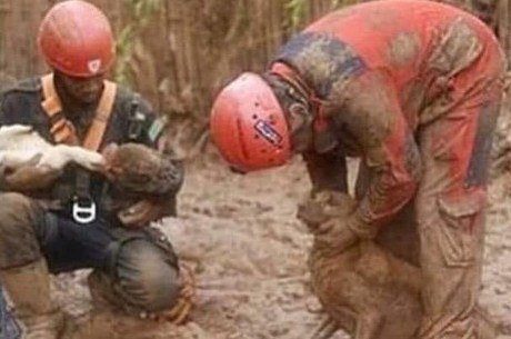 Resultado de imagem para Brumadinho