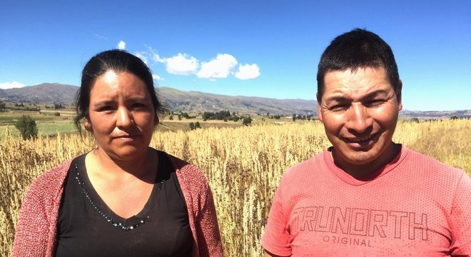 Yudy Cisneros e Fredy Bautista dizem que plantar quinoa mudou a vida da família